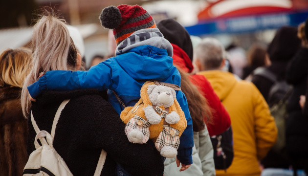 What Are IDP Councils and How Can They Help Communities?